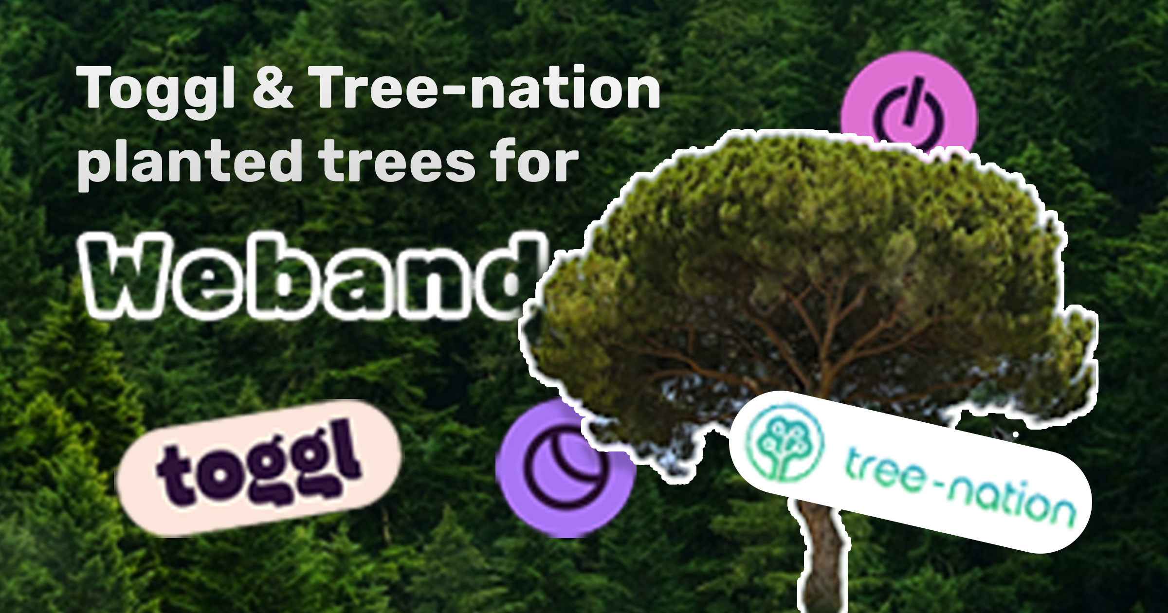 Toggl и Tree-nation засадиха дървета за Weband image